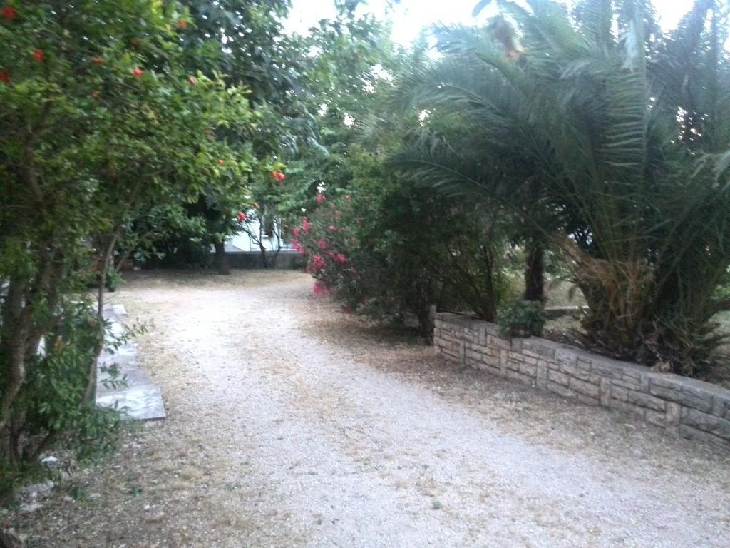 Apartment Tome Biograd Na Moru Cameră foto