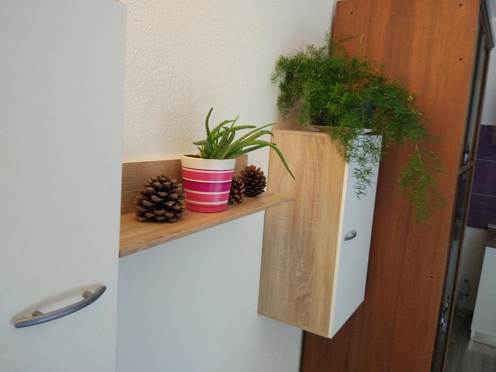 Apartment Tome Biograd Na Moru Exterior foto
