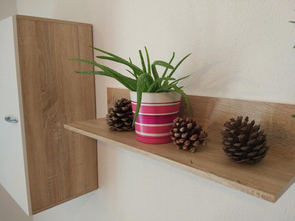 Apartment Tome Biograd Na Moru Exterior foto